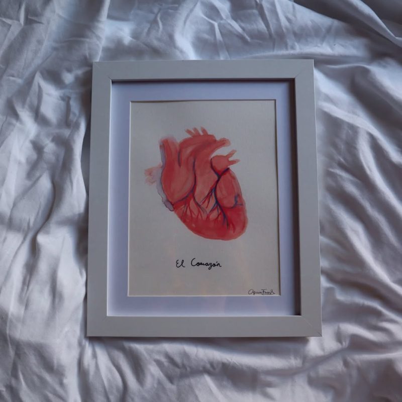 464914821 433075093156726 6526906764620416346 n